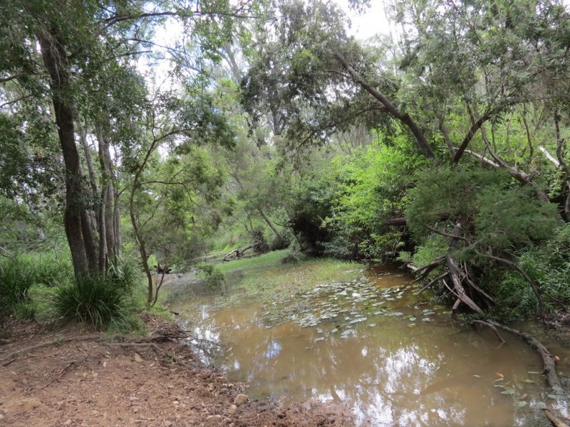 Bucca QLD 4670