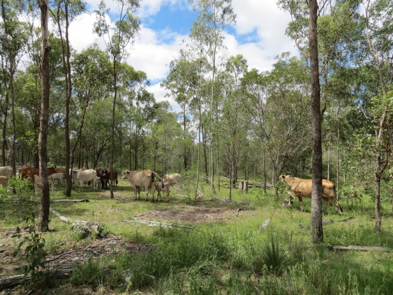 Bucca QLD 4670