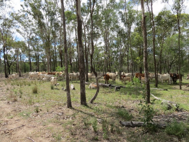 Bucca QLD 4670