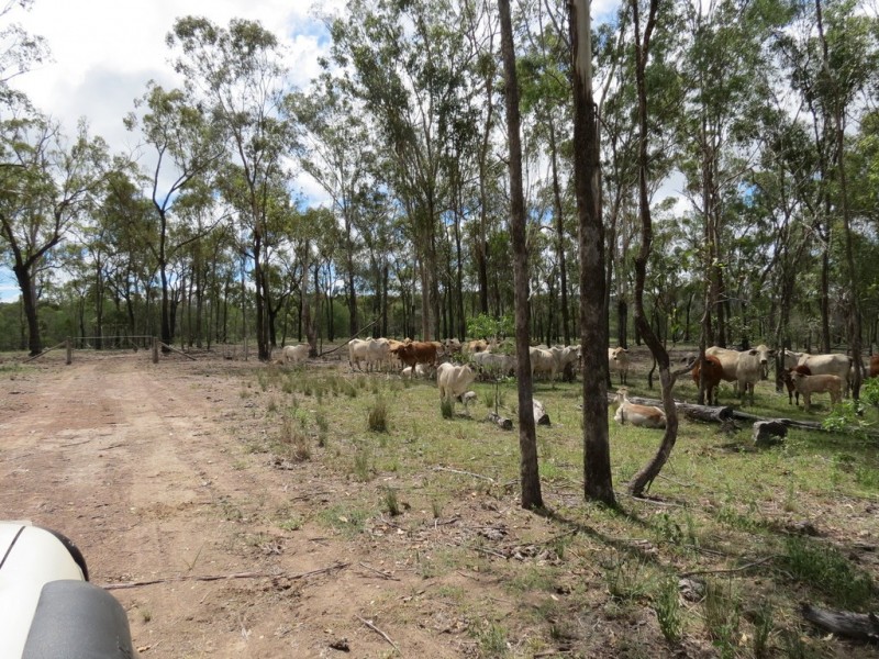 Bucca QLD 4670