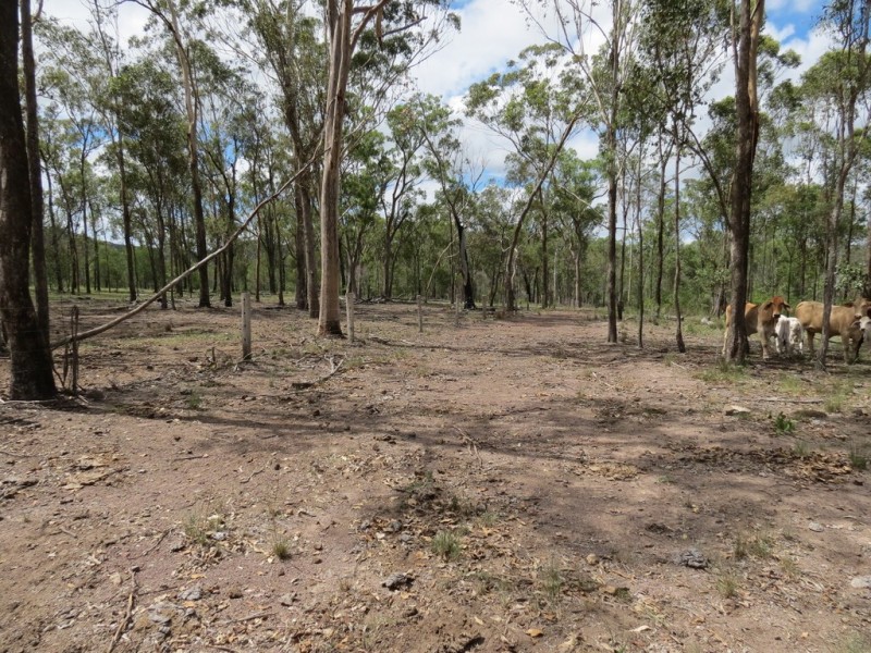 Bucca QLD 4670