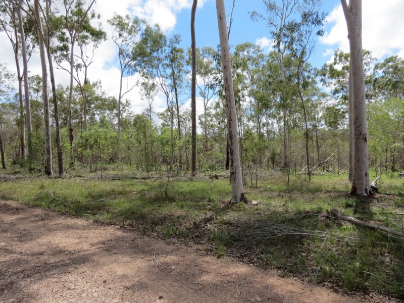 Bucca QLD 4670