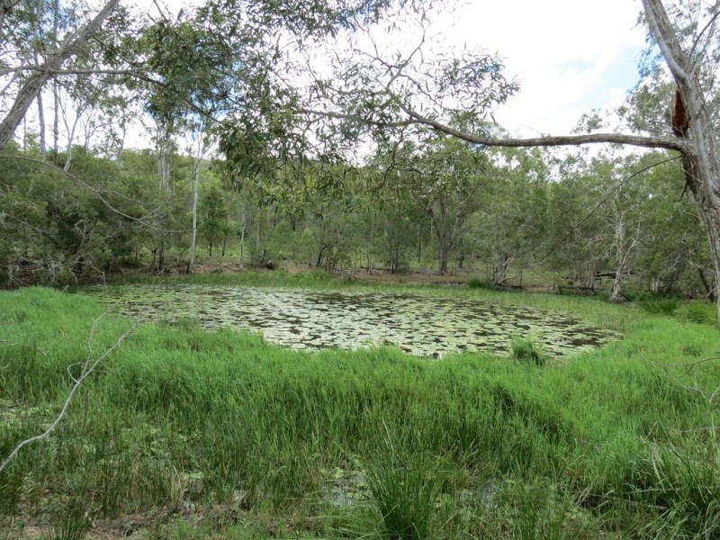 Bucca QLD 4670