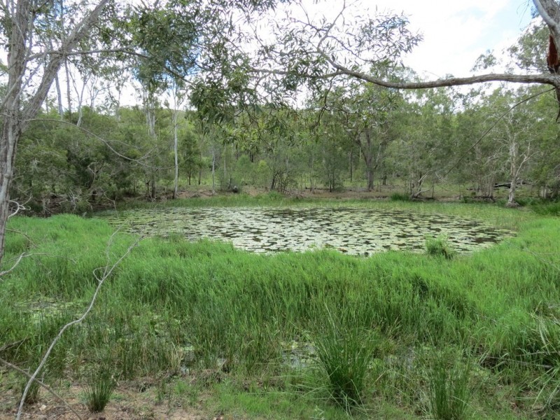 Bucca QLD 4670