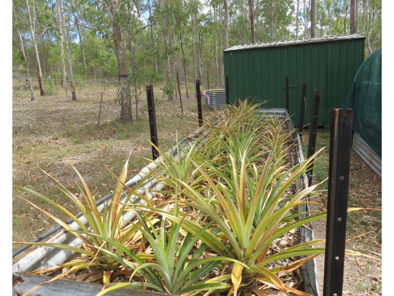 524 Cross Road, Euleilah QLD 4674