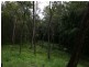 19 Samuels Rd, Branyan QLD 4670