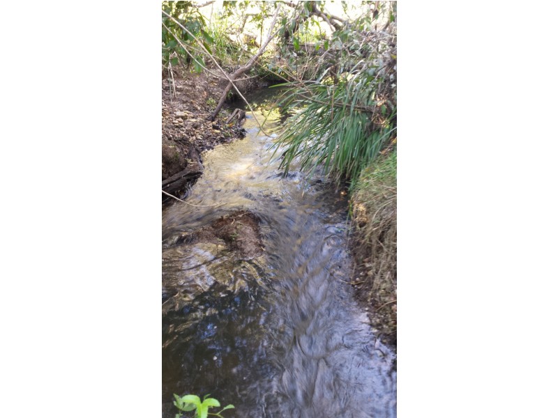 143 Wilkes Road, Farnsfield QLD 4660