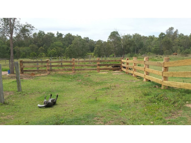 143 Wilkes Road, Farnsfield QLD 4660