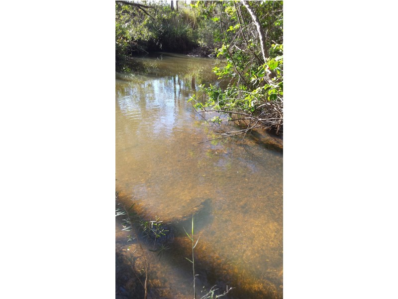 143 Wilkes Road, Farnsfield QLD 4660