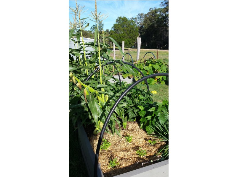 143 Wilkes Road, Farnsfield QLD 4660