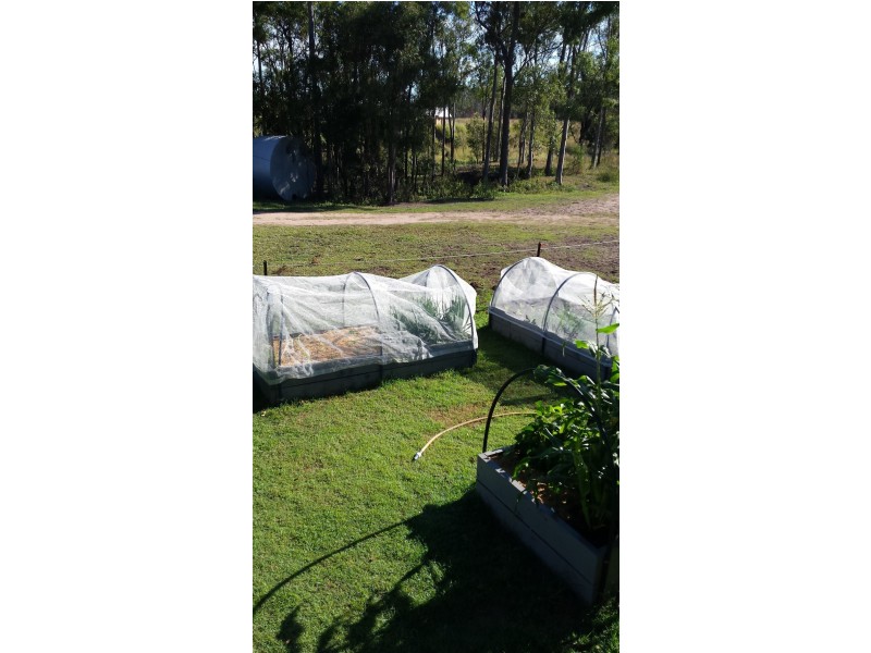 143 Wilkes Road, Farnsfield QLD 4660