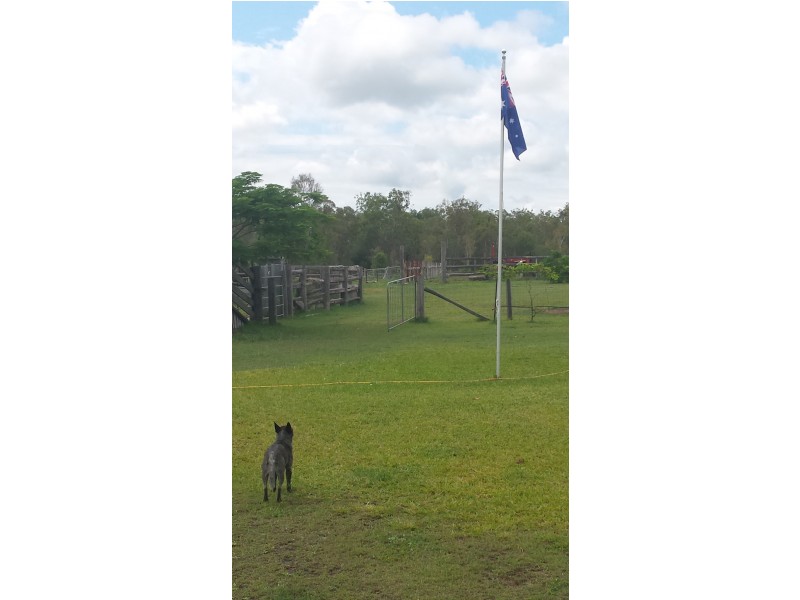 143 Wilkes Road, Farnsfield QLD 4660