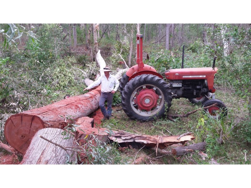 143 Wilkes Road, Farnsfield QLD 4660