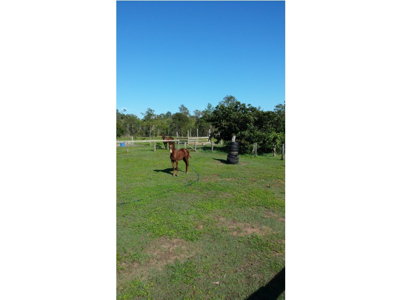 143 Wilkes Road, Farnsfield QLD 4660