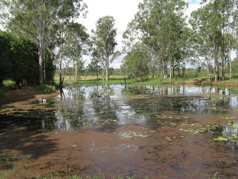 32515 Bruce Highway, Duingal QLD 4671