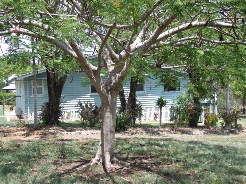 19 Rieck Street, Gin Gin QLD 4671