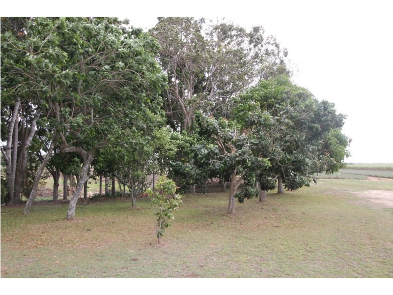 496 Gooburrum Road, Welcome Creek QLD 4670