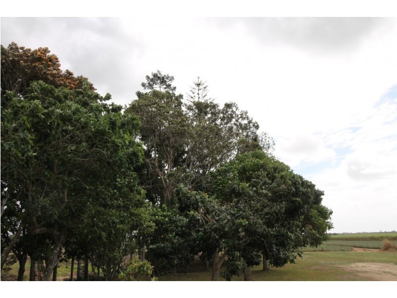 496 Gooburrum Road, Welcome Creek QLD 4670