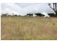 3896 Bundaberg Gin Gin Road, Bullyard QLD 4671
