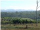 3896 Bundaberg Gin Gin Road, Bullyard QLD 4671
