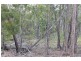 3896 Bundaberg Gin Gin Road, Bullyard QLD 4671