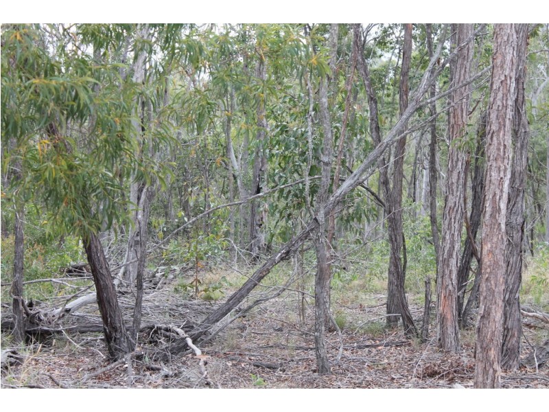3896 Bundaberg Gin Gin Road, Bullyard QLD 4671