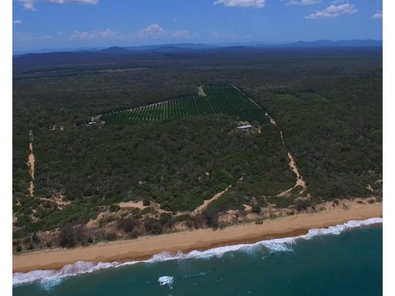 257 Kate Avenue, Deepwater QLD 4674