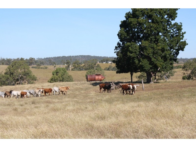 111 Goodnight Scrub rd, Morganville QLD 4671