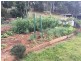 11 ATC Hall Road, Apple Tree Creek QLD 4660