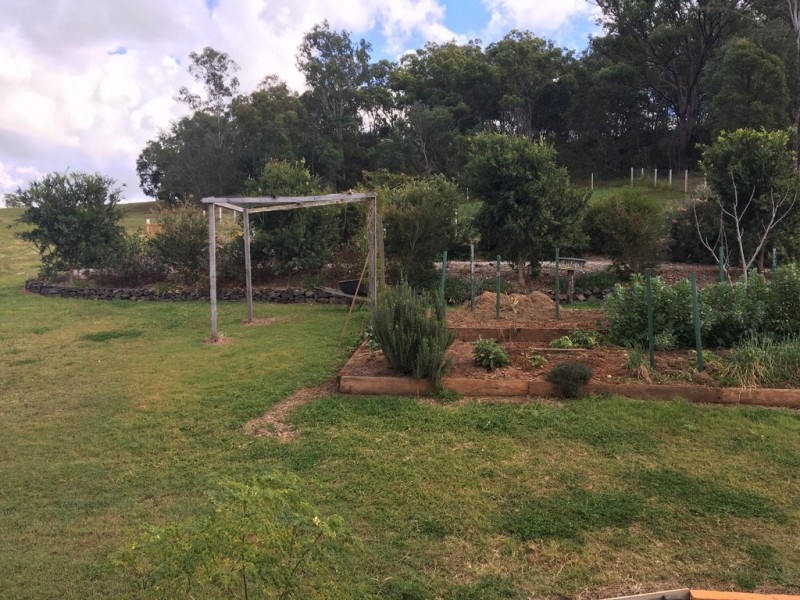 11 ATC Hall Road, Apple Tree Creek QLD 4660
