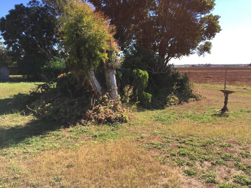 9 Rehbein Avenue, Qunaba QLD 4670