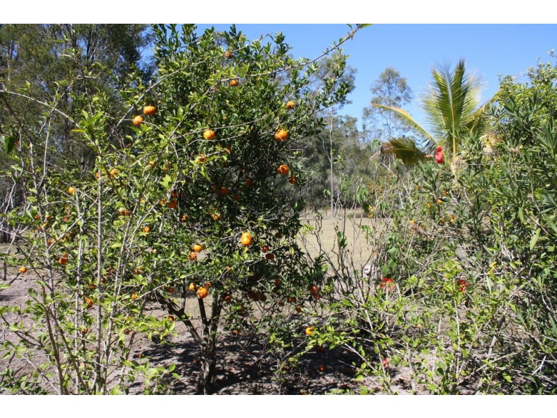 41 Beiers Road, Bullyard QLD 4671
