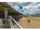 266 Ruths Road, South Kolan QLD 4670