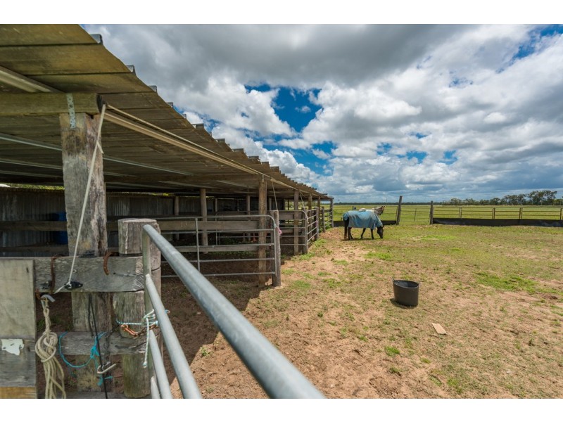 266 Ruths Road, South Kolan QLD 4670