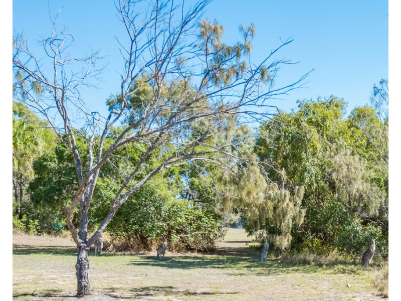 38 Sylvan Drive, Moore Park Beach QLD 4670