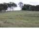 New Moonta QLD 4671