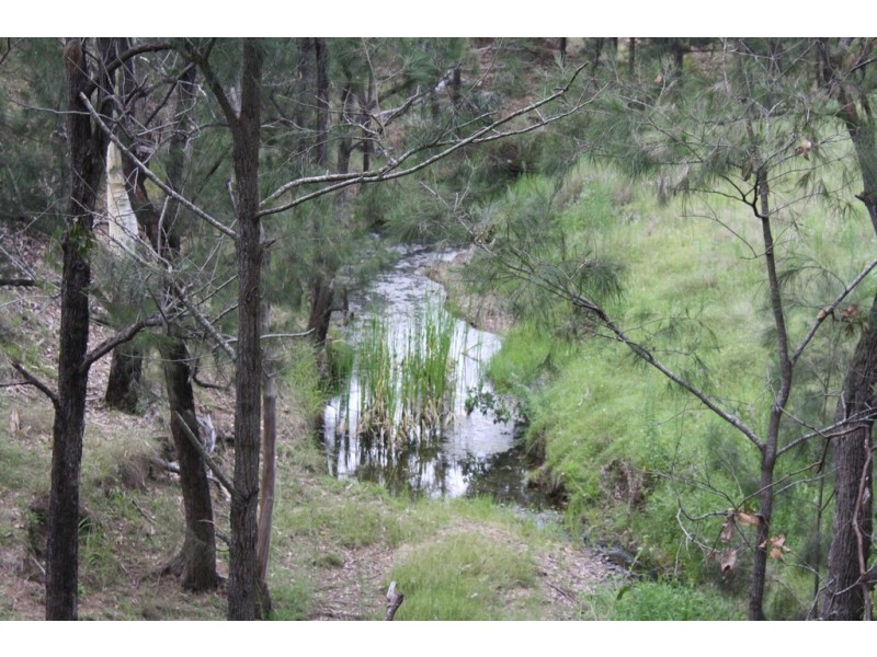 New Moonta QLD 4671