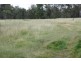 New Moonta QLD 4671