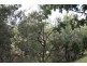 New Moonta QLD 4671