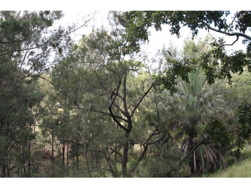 New Moonta QLD 4671