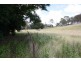 New Moonta QLD 4671
