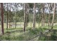 New Moonta QLD 4671