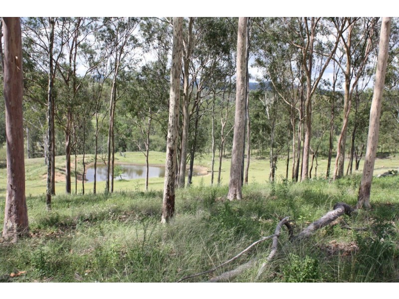 New Moonta QLD 4671