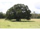 New Moonta QLD 4671