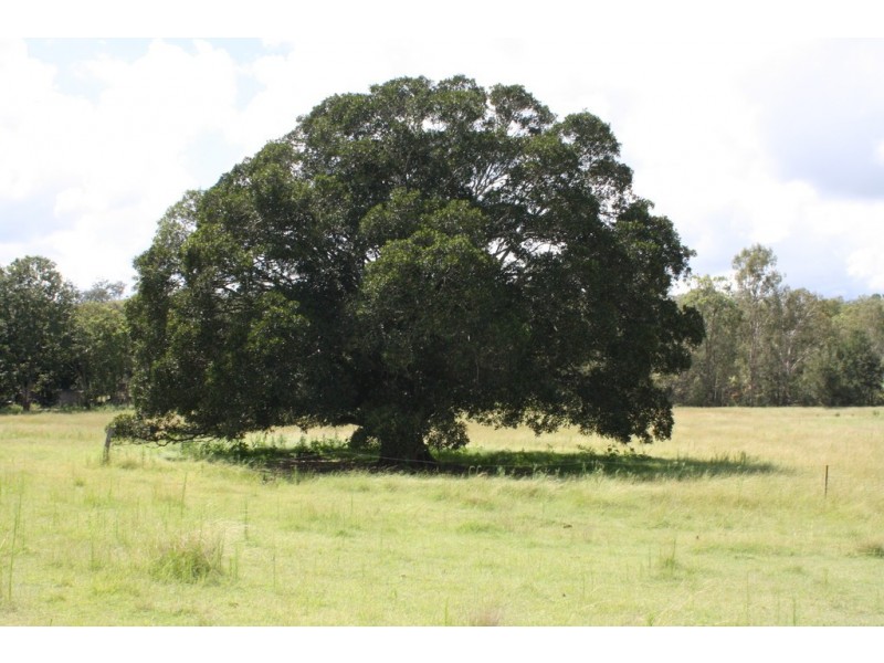 New Moonta QLD 4671