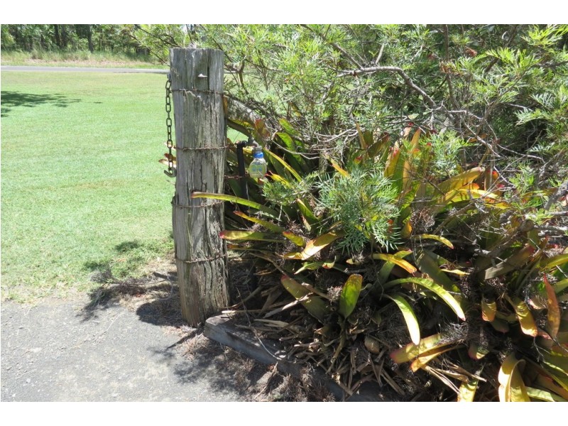 1983 Bucca Road, Bucca QLD 4670