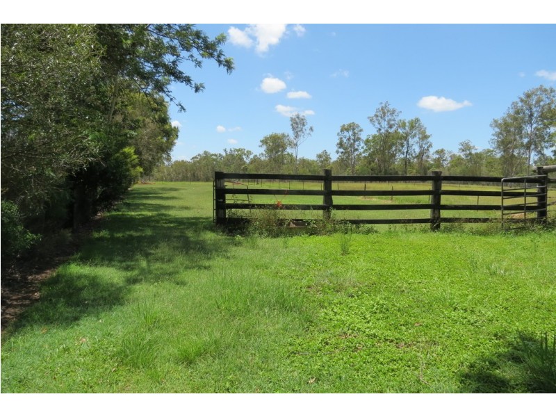 1983 Bucca Road, Bucca QLD 4670