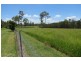 1983 Bucca Road, Bucca QLD 4670