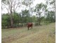 551 Sandy Camp Rd, Mount Perry QLD 4671