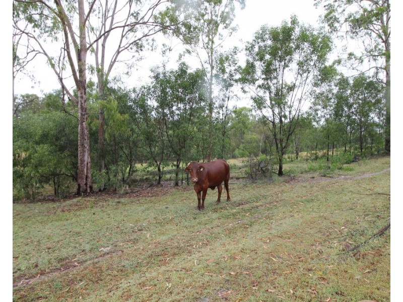 551 Sandy Camp Rd, Mount Perry QLD 4671